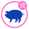 Pig Zodiac icon